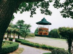 -福建鲤鱼洲酒店