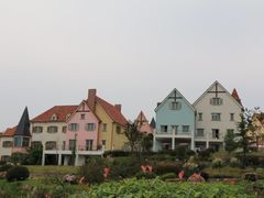 -大塘金香草谷