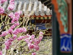 -颐和园