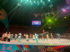 -俄罗斯国家大马戏团