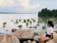 -宝安西湾红树林湿地公园