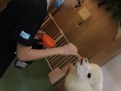 -藦茜花园宠物主题亲子互动体验馆(国顺东路店)