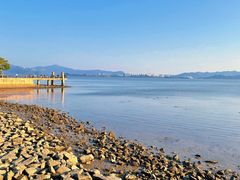 -深圳湾公园(南山区)