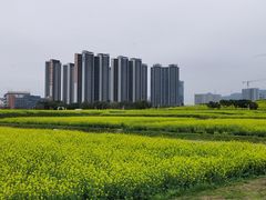 -光明小镇欢乐田园