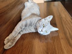 -猫岛主趣味餐厅(鼓浪屿店)