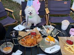 -J Create城市露营咖啡·简餐·宠物(上海动物园店)