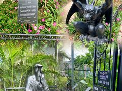 -正佳雨林生态植物园