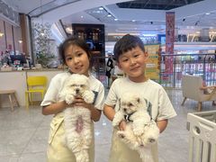 -柴犬小屋·柴餐厅·狗咖食堂(金鼎广场店)