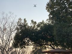 -杭州半山国家森林公园