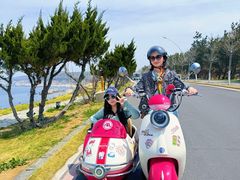 -养马岛旅游度假区