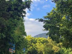 -西涌国际滨海旅游区