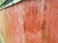 -大觉寺-停车场