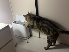 -张记美味思大盘鸡(博颂路店)