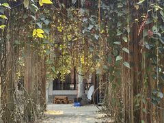 -中国科学院西双版纳热带植物园