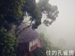 -三亚亚龙湾人间天堂鸟巢度假村