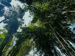 -成都杜甫草堂博物馆