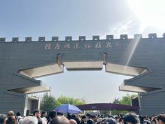 -洛阳市隋唐城遗址植物园
