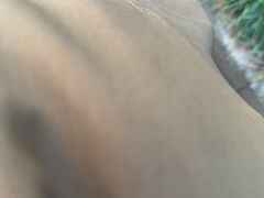 -索拉古贝(义乌北苑店)