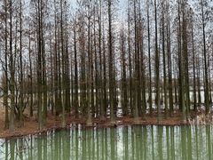 -艾溪湖湿地公园