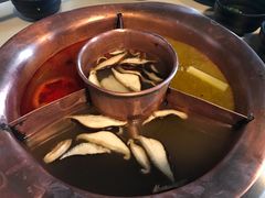 -滇釜火锅·能喝汤的火锅(车公庄店)