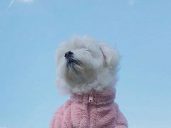 -陆记牛庄·碳锅龙虾烧烤(爱上花园店)