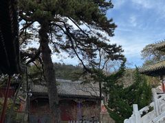 -潭柘寺景区