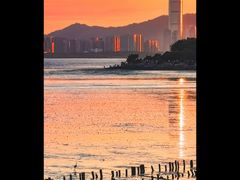 -深圳湾公园(南山区)