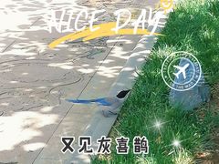 -睦南公园