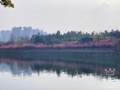 -望江楼公园