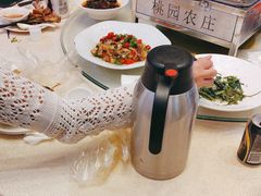 -桃园农庄烤全羊(江秋路店)