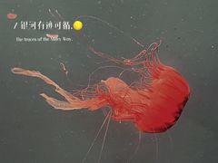 -海合安青岛极地海洋公园
