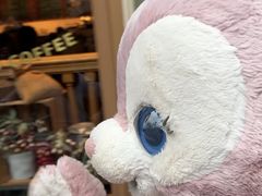 -小镇影院迪士尼小熊Duffy与他的朋友合影地