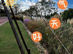 -上海山野camping·户外天幕烧烤·团建拓展营地