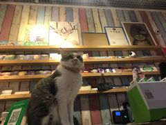 -小时光咖啡馆(开森度假森林店)