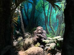 -国家自然博物馆