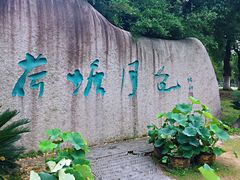 -荷塘月色湿地公园·向阳花洲