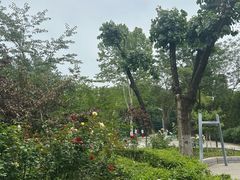 -西安市长乐公园