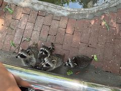 -水上乐园·欢乐世界