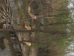 iphone_upload_pic-溱湖国家湿地公园