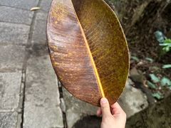 -青青世界