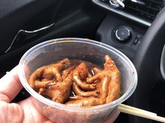 -毛姨鸡爪