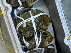 -蟹天蟹地农家菜·阳澄湖大闸蟹(浅水湾店)