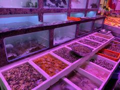 水产区-长平肥姐白粥·海鲜打冷