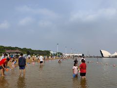 -碧海金沙