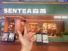 -森茶(湛江万达店)