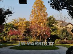 -浙江安吉JW万豪酒店·万豪中餐厅