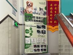 -心仪动物医院·牙专科·肿瘤·心脏科(西客站院)