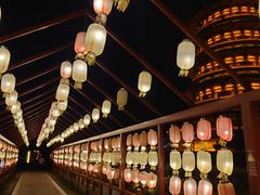 -隋唐洛阳城明堂天堂景区