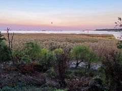 -上海吴淞炮台湾国家湿地公园