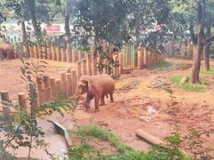 -昆明动物园